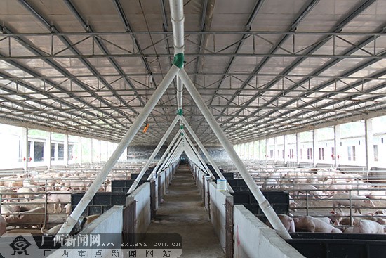 [玉林環(huán)保行]養(yǎng)殖污水循環(huán)利用 高架網(wǎng)床高效環(huán)保