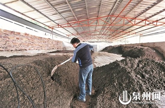 豬糞變廢為寶制成有機(jī)肥