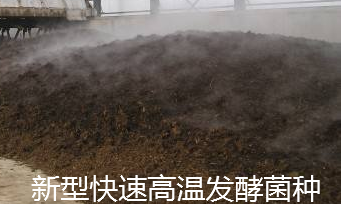 新型快速高溫發(fā)酵菌種.png
