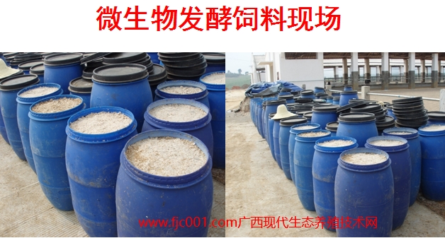 生物飼料發(fā)酵現場.jpg