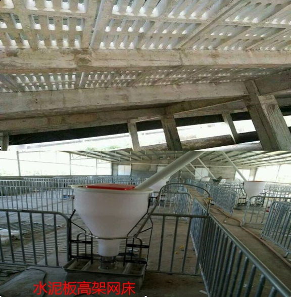 高架網(wǎng)床設(shè)計(jì)圖，高架網(wǎng)床養(yǎng)豬建造，為您提供高架網(wǎng)床養(yǎng)豬、牛、羊全方位一條龍建設(shè)服務(wù)