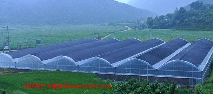 使用大棚種植高吸水吸肥能力的牧草消耗養(yǎng)殖場(chǎng)的糞污，成本低，操作簡(jiǎn)單，帶來(lái)的效益非常顯著