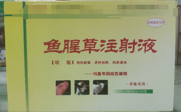 魚腥草注射液，清熱解毒，消腫排濃，利尿通琳，乳房脹痛，排尿不暢等