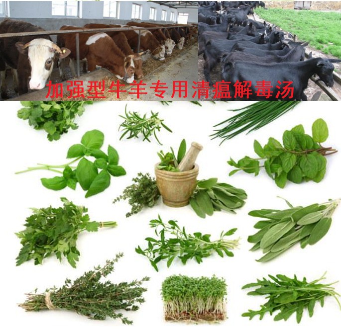 加強(qiáng)型牛羊?qū)Ｓ们逦两舛緶?6味原生中草藥公開(kāi)組方，牛羊養(yǎng)殖場(chǎng)常備無(wú)憂(yōu)