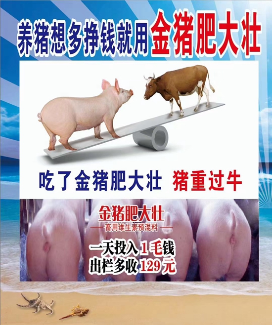 養(yǎng)豬想多掙錢就用金豬肥大壯--1天投入1毛錢，提前出欄13天，多長20斤，就是牛