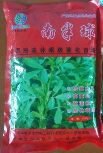 南半球紫花苜蓿,富含粗蛋白、維生素和礦物質(zhì)及動(dòng)物必需的氨基酸優(yōu)質(zhì)牧草