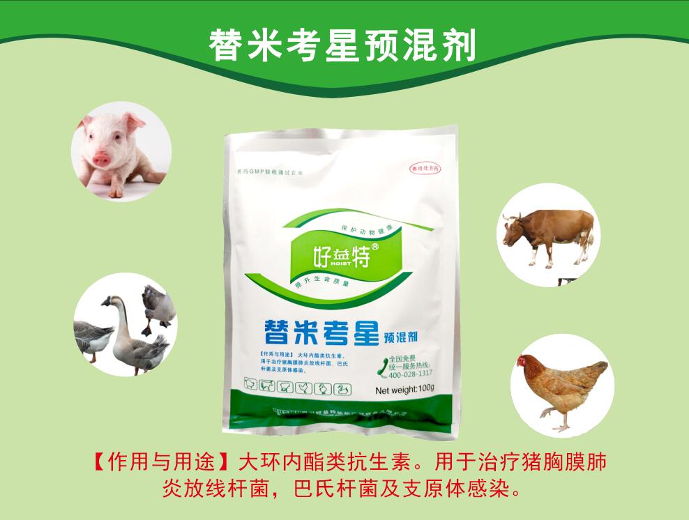 替米考星粉，呼吸道病更好的抗生素，主要防治家畜肺炎(由胸膜肺炎放線桿菌、巴氏桿菌、支原體等感染引起)、禽支原體病及泌乳動物的乳腺炎。