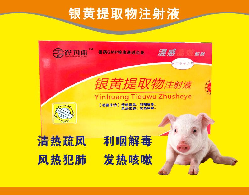 銀黃提取物注射液--混感高效，清熱疏風(fēng)，利咽解毒，風(fēng)熱范肺，發(fā)熱咳嗽。