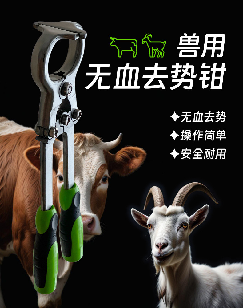 羊用無(wú)血去勢(shì)鉗 閹割鉗 煽羊鉗 無(wú)血去勢(shì)器 牛用大號(hào) 器械
