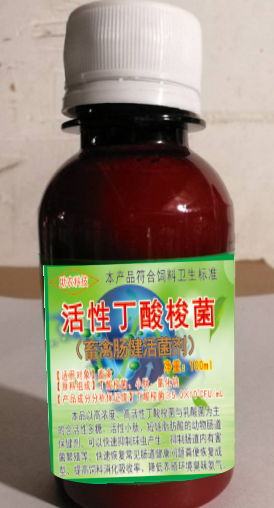 活性丁酸梭菌（畜禽腸健活菌劑100毫升裝），腸道保健益生菌中的佼佼者，頑固性腹瀉快速解決方案產(chǎn)品