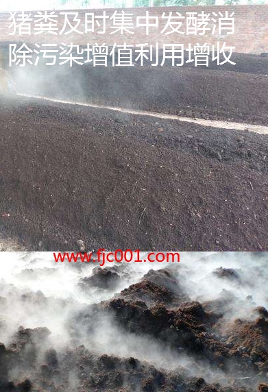 豬糞及時集中發(fā)酵消除污染增值增收.jpg