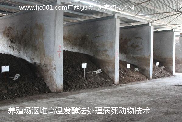 漚堆法高溫發(fā)酵處理病死動物.jpg