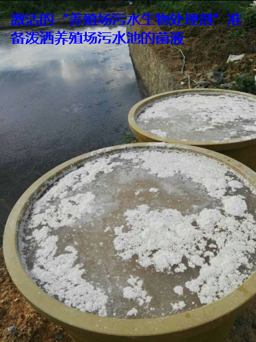 養(yǎng)殖場(chǎng)污水處理步驟6.png