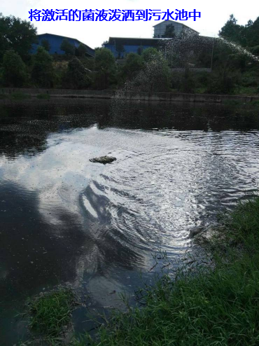 養(yǎng)殖場(chǎng)污水處理步驟7.png