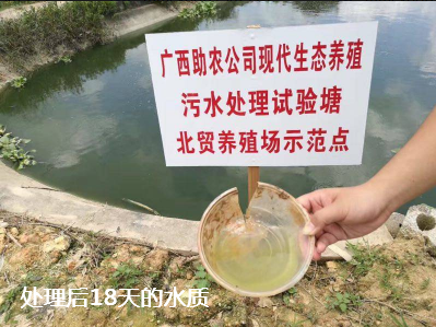 養(yǎng)殖場(chǎng)污水處理步驟9.png