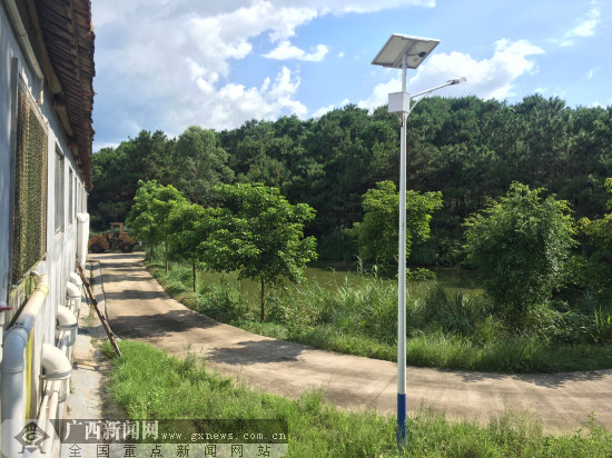 【玉林環(huán)保行】益生菌+高架床同用 生態(tài)養(yǎng)殖新升級(jí)