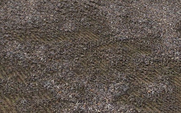 草坪種植與養(yǎng)護管理方法 草坪籽怎么種出漂亮的草坪 10