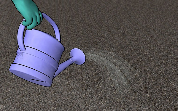 草坪種植與養(yǎng)護管理方法 草坪籽怎么種出漂亮的草坪 12