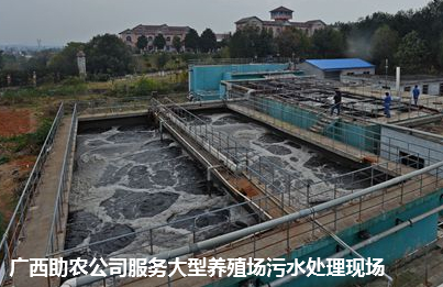 污水處理現(xiàn)場1.png