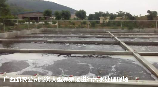 污水處理現(xiàn)場.png
