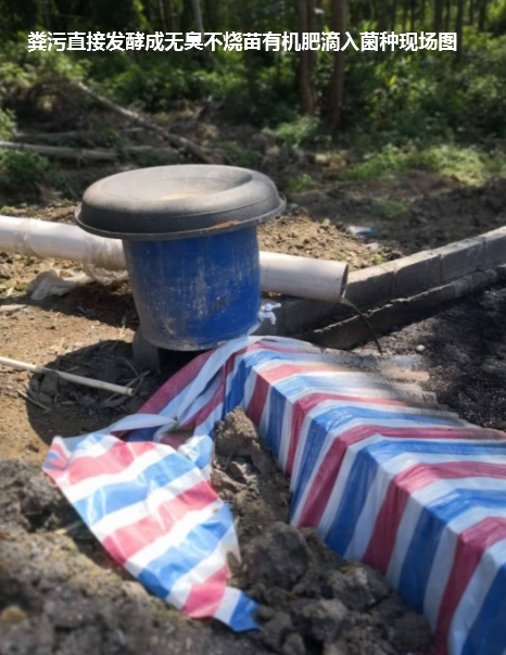 滴入發(fā)酵糞污現(xiàn)場(chǎng)2.jpg