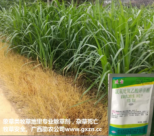 牧草除草劑2.jpg