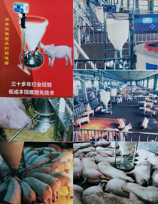 助農(nóng)養(yǎng)豬液體飼料智能飼喂系統(tǒng)1.jpg