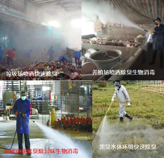 多功能人居環(huán)境治理活菌寶除臭現(xiàn)場(chǎng)圖.jpg