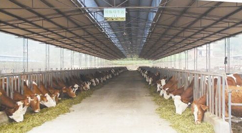 èçå»æ®åoå»oè®¾å¾