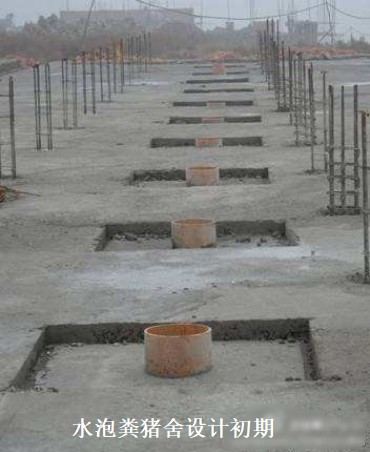 水泡糞豬舍設(shè)計(jì)初期.jpg
