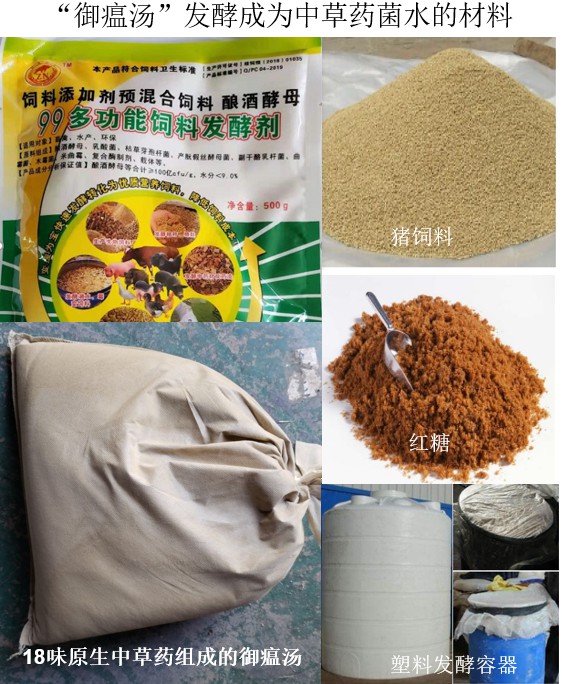 “御瘟湯”發(fā)酵成為中草藥菌水的材料.jpg