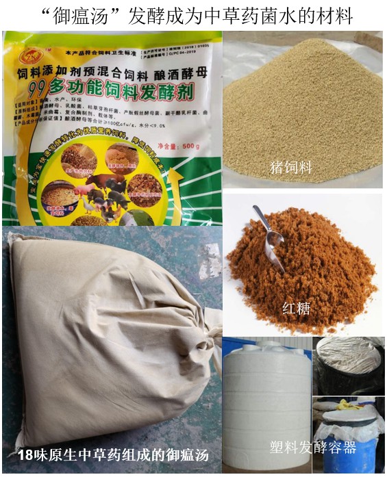 “御瘟湯”發(fā)酵成為中草藥菌水的材料.jpg