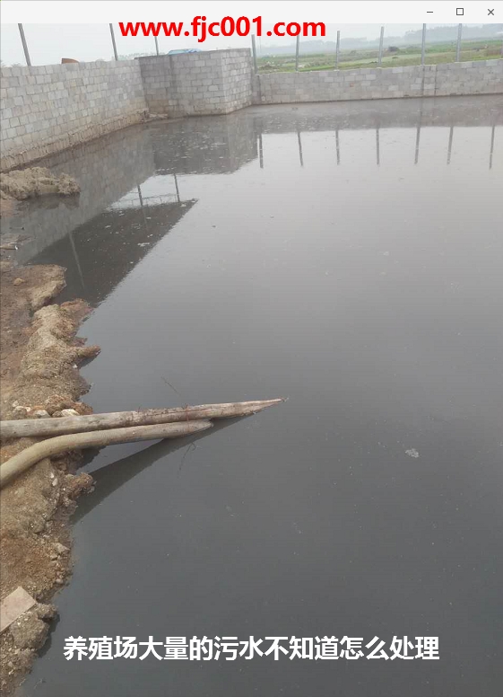 養(yǎng)殖場(chǎng)污水.jpg