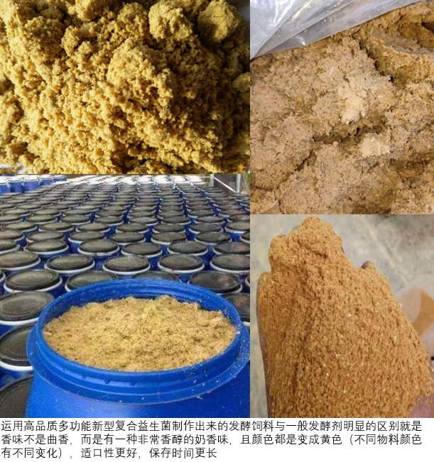 使用高品質(zhì)多功能新型復(fù)合益生菌制作出來的發(fā)酵飼料為黃色.jpg