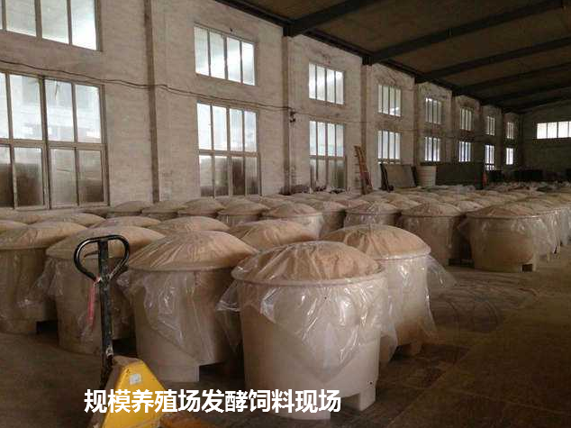 發(fā)酵飼料現(xiàn)場(chǎng)1.png