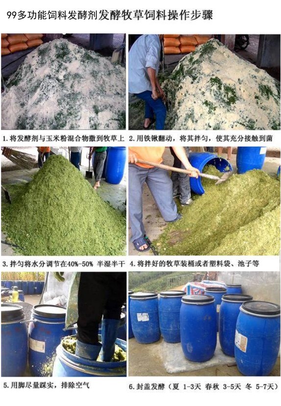 用99多功能飼料發(fā)酵劑發(fā)酵牧草飼料操作步驟.jpg