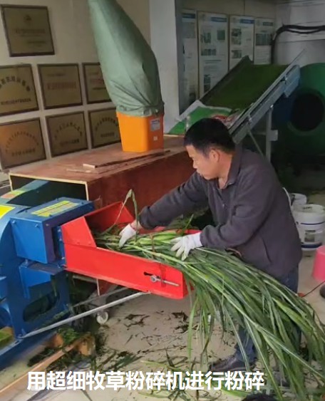 用超細(xì)牧草粉碎機(jī)進(jìn)行粉碎.jpg