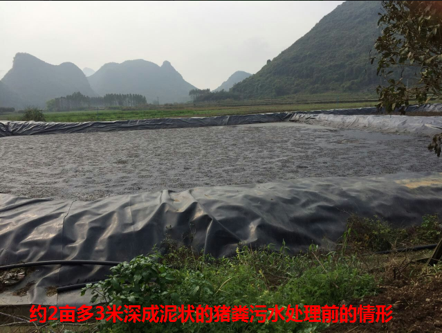 養(yǎng)殖場污水生物處理劑28.png