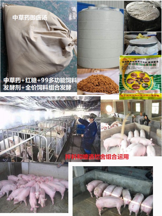 自制中草藥體內(nèi)外運用防控非洲豬瘟.jpg