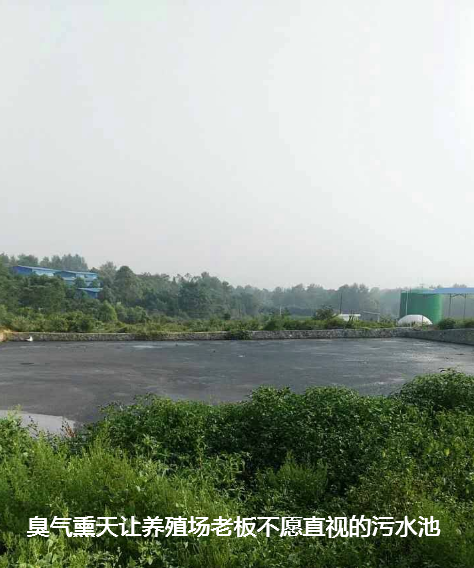 養(yǎng)殖場污水處理步驟8.png