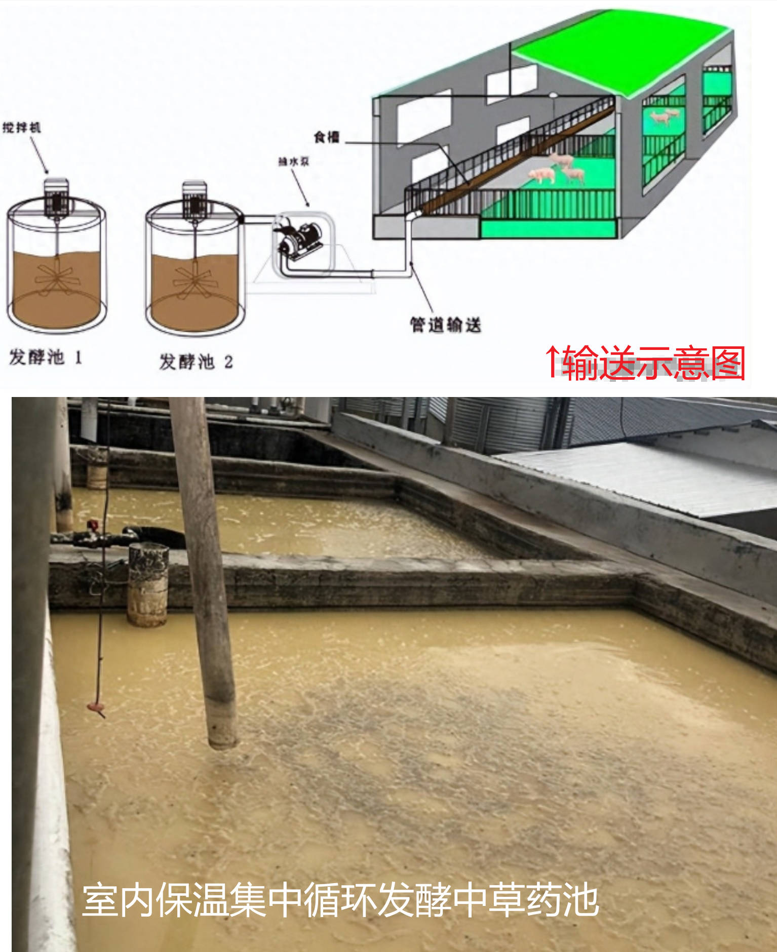 發(fā)酵中草藥輸入豬舍內(nèi)示意圖.jpg