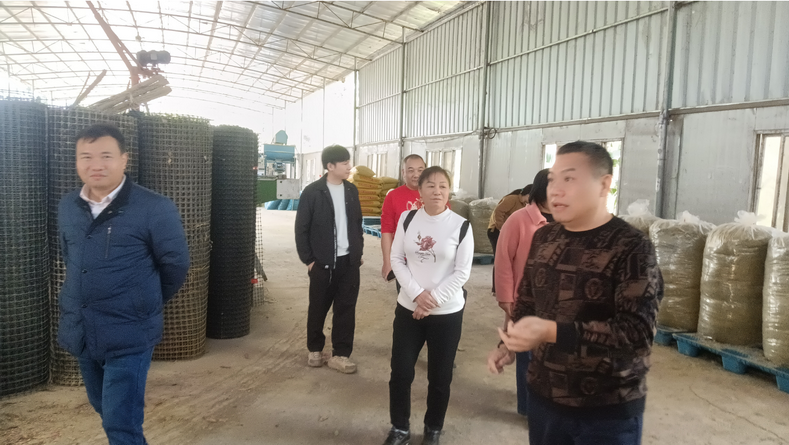 廣西家禽業(yè)協(xié)會韋鳳英會長在廣西助農公司生態(tài)循環(huán)養(yǎng)殖基地發(fā)酵飼料生產區(qū)調研.png