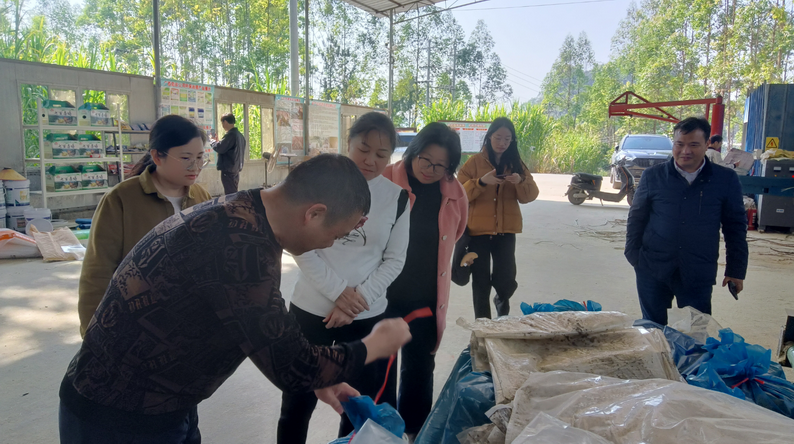 廣西家禽業(yè)協(xié)會韋鳳英會長在廣西助農公司生態(tài)循環(huán)養(yǎng)殖基地發(fā)酵飼料生產區(qū)調研2.png