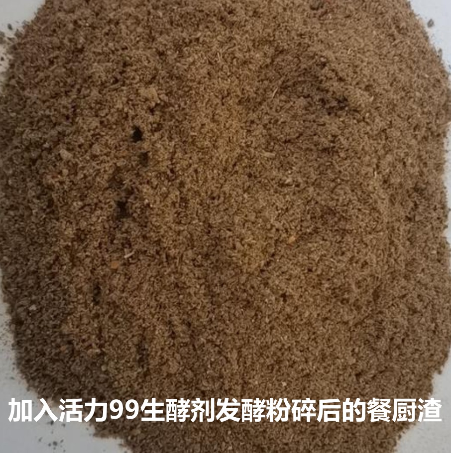 加入活力99生酵劑發(fā)酵粉碎后的餐廚渣.jpg