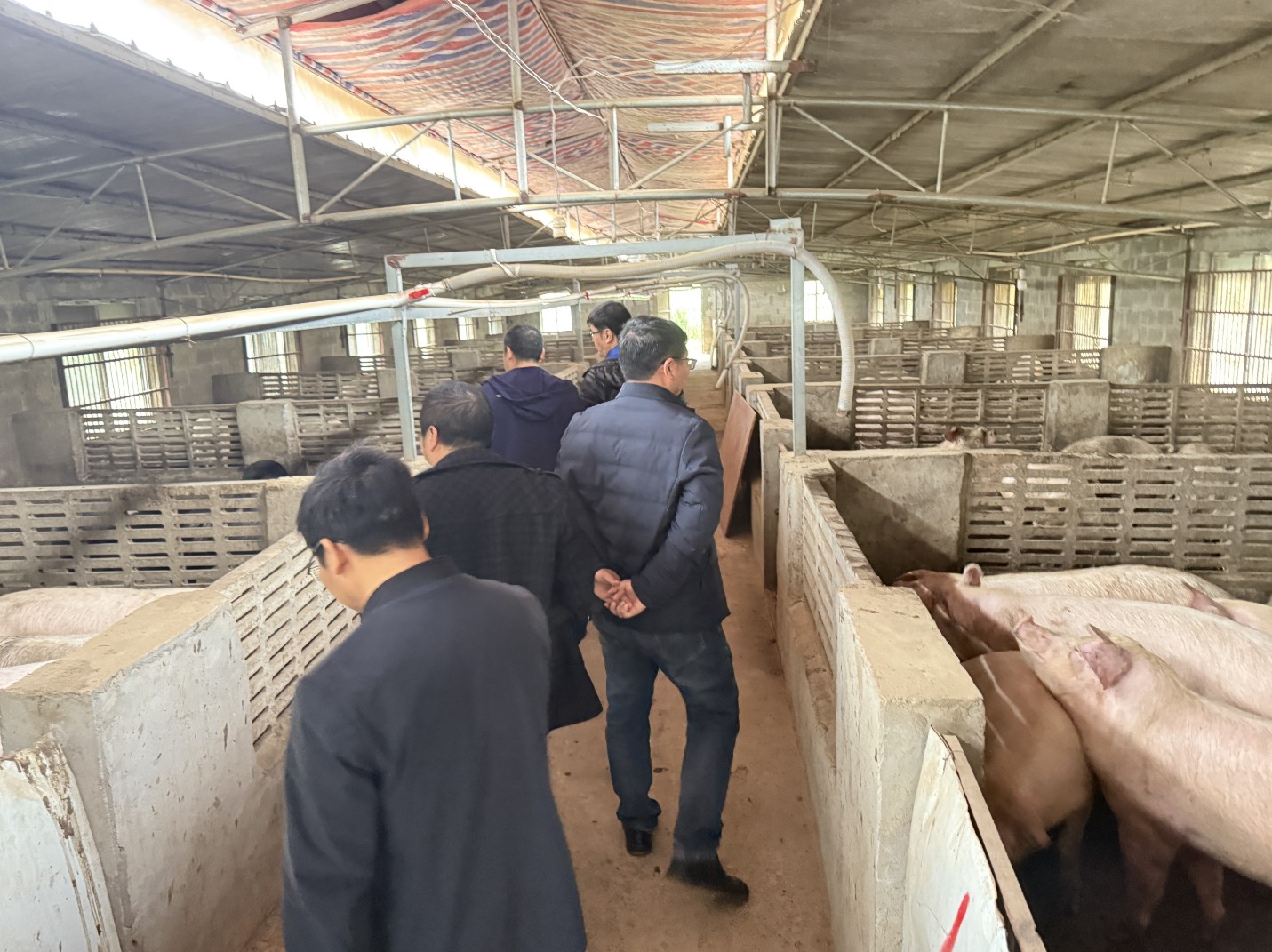 金陵農(nóng)牧集團(tuán)前來調(diào)研6.jpg