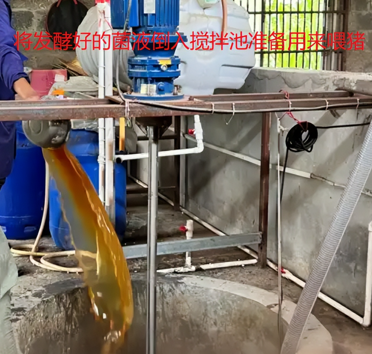 17421962018461058 (1).png