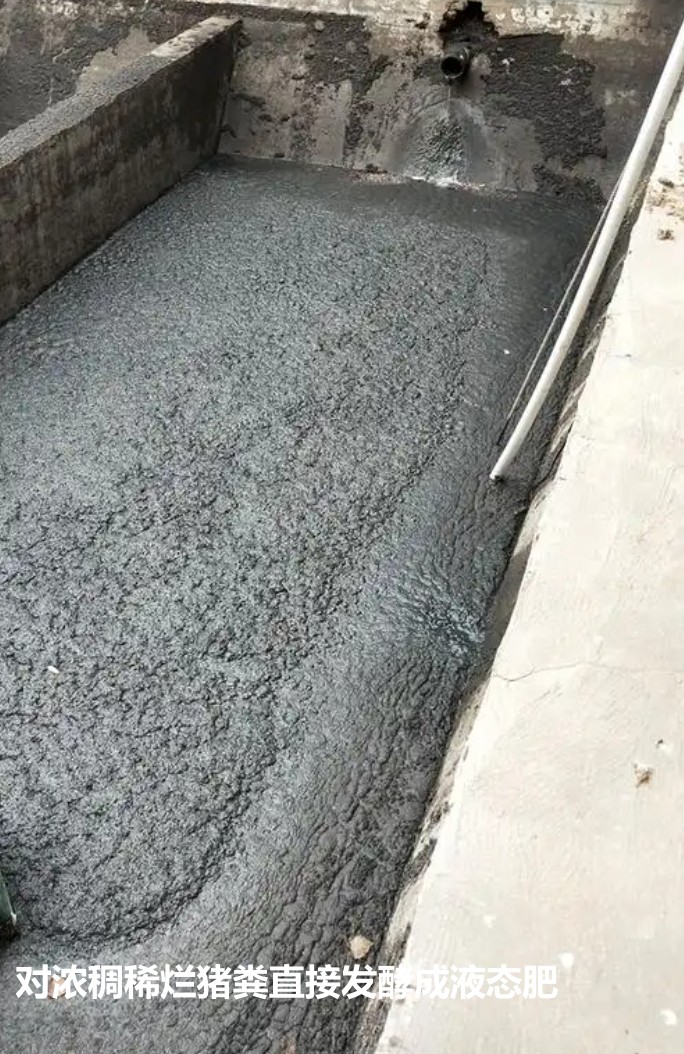 對(duì)濃稠稀爛豬糞直接發(fā)酵成液態(tài)肥.jpg
