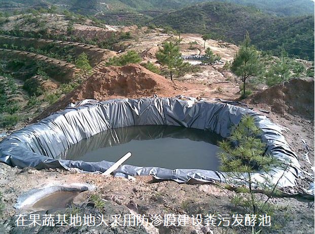在果蔬基地地頭采用防滲膜建設(shè)糞污發(fā)酵池.jpg