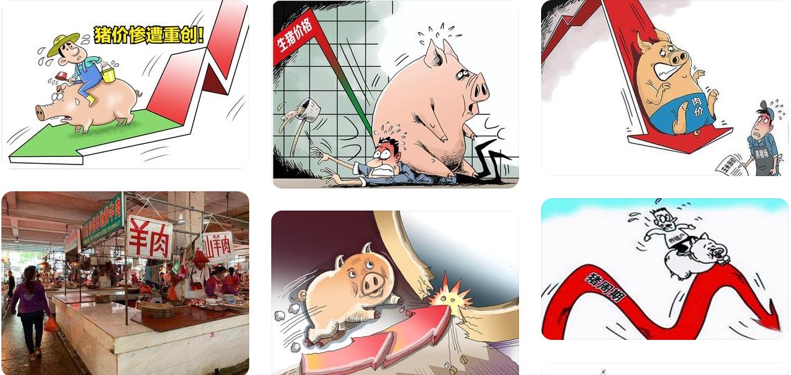 豬價(jià)低迷.jpg