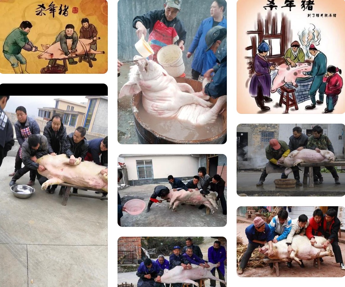 殺年豬2.jpg